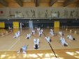 Capoeira Slovenija